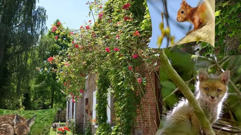Gîtes de France® - Le Refuge