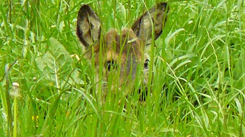 Gîtes de France® - Le Refuge