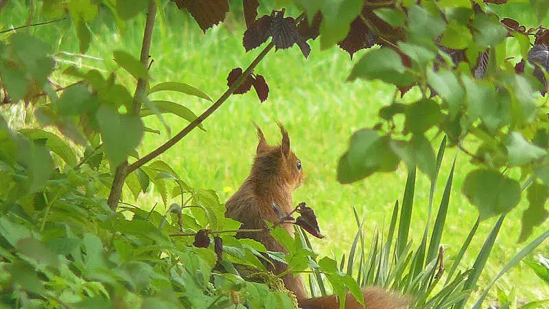 Gîtes de France® - Le Refuge