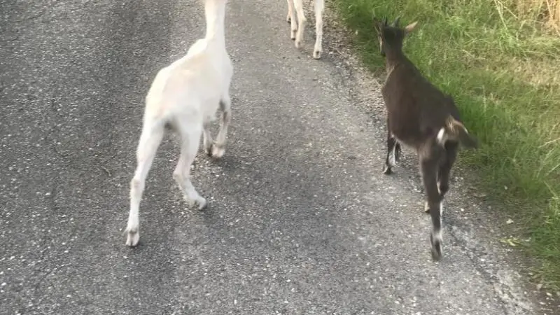 Gîtes de France® - Domaine de Gretot