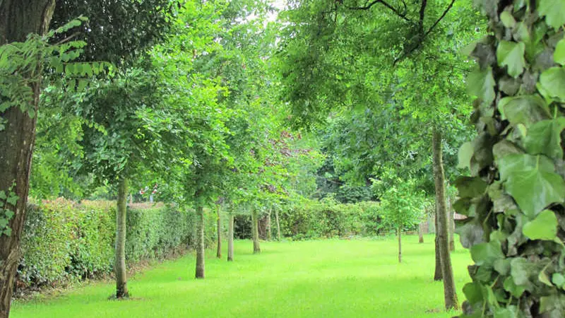 Domaine de Gretot