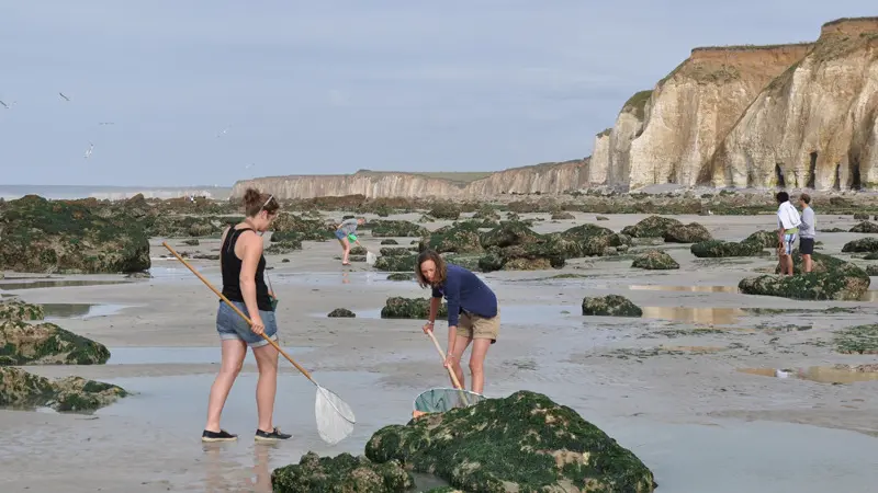 Gîtes de France® - La Frégate des Aoûtés
