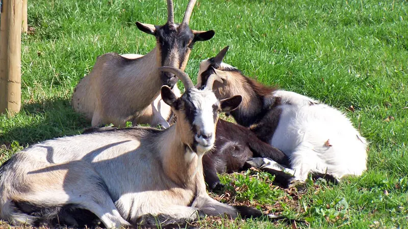 Gîtes de France® - La Pailletterie