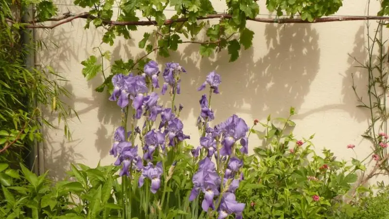 Gîtes de France® - Villa Marguerite