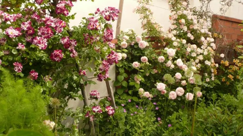 Gîtes de France® - Villa Marguerite