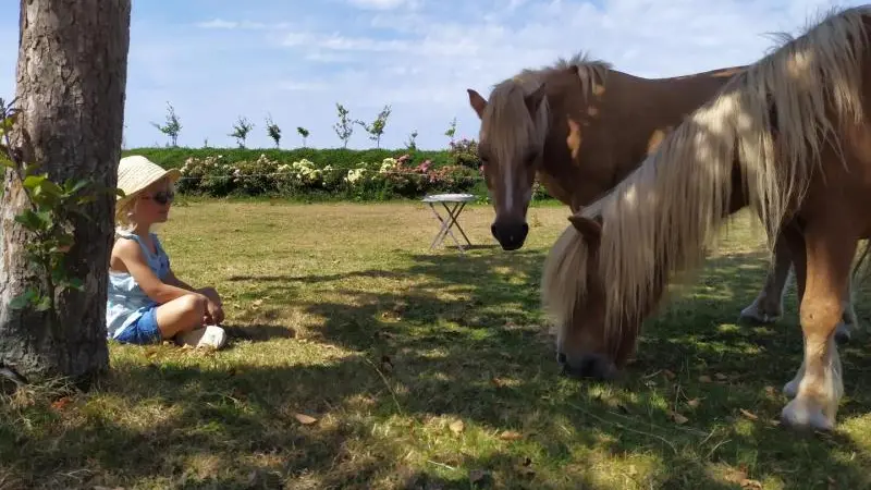 Gîtes de France® - Le Clos d'Albâtre