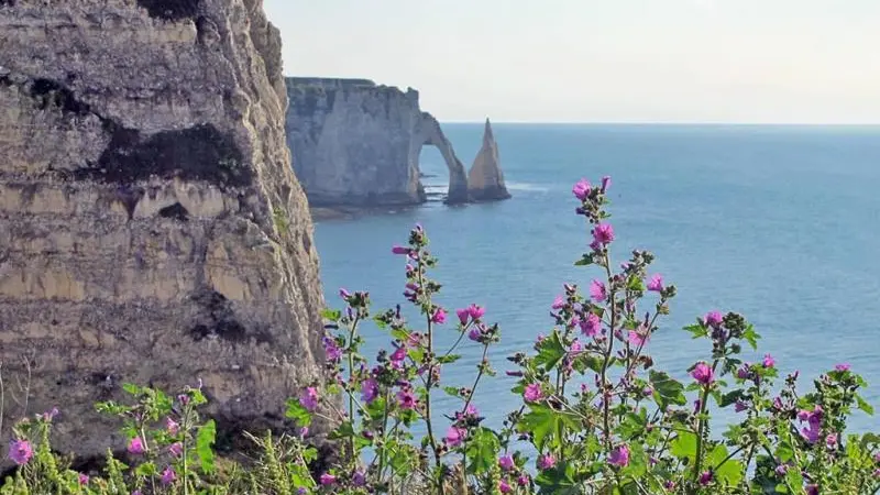 Gîtes de France® - Le Fief