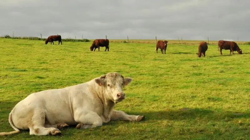 Gîtes de France® - Le Neuf-Moulin