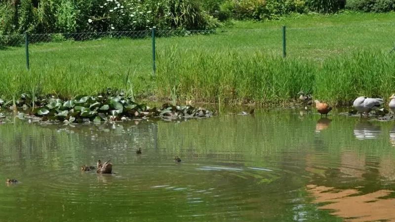 Gîtes de France® - Le Neuf-Moulin