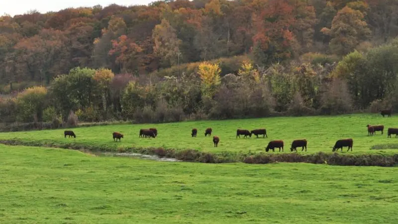 Gîtes de France® - Le Neuf-Moulin