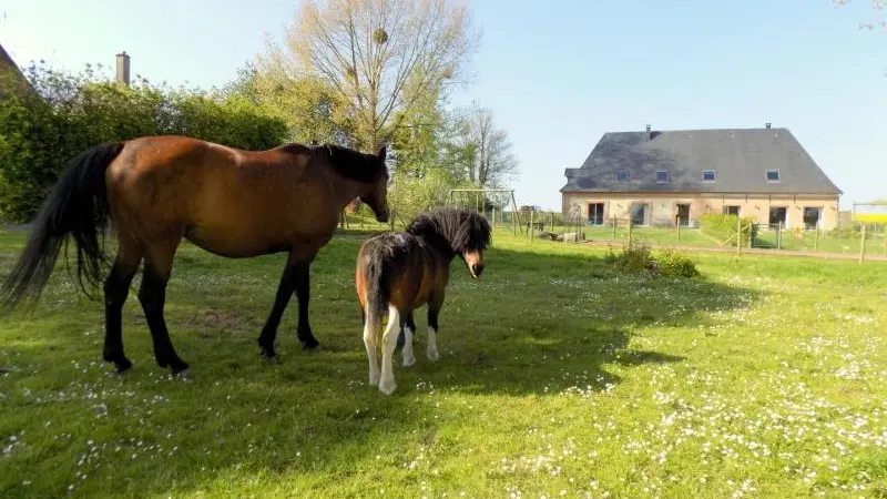 Gîtes de France® - Le Neuf-Moulin