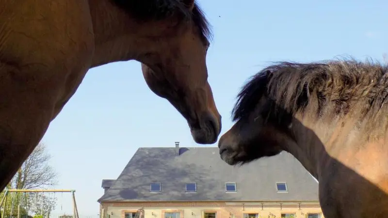 Gîtes de France® - Le Neuf-Moulin