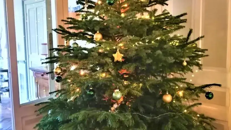 Gîtes de France® - Villa Mona