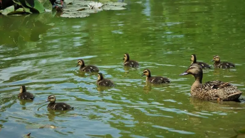 Gîtes de France® - Le Bois-Saleu