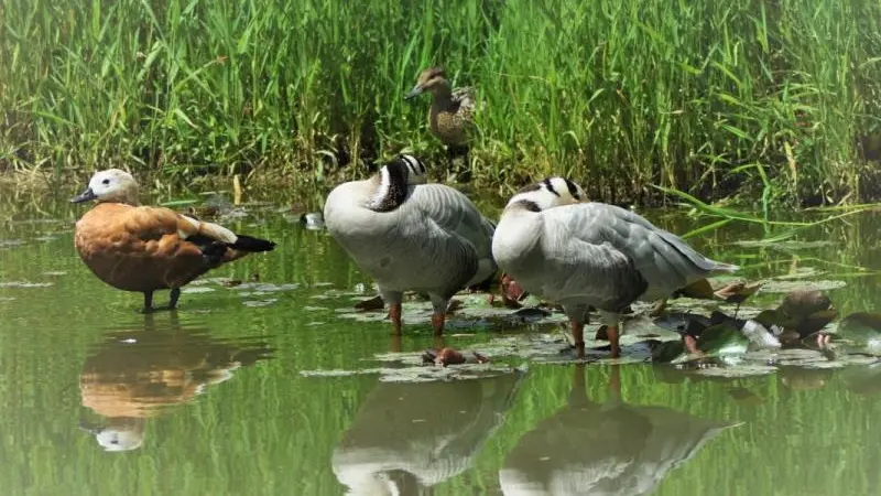 Gîtes de France® - Le Bois-Saleu
