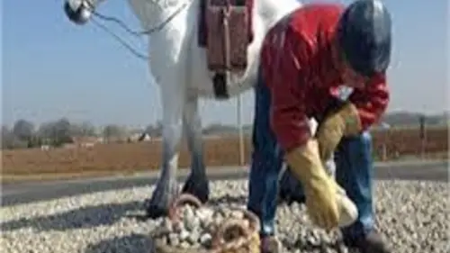 Gîtes de France® - Chez Nicole et Michel