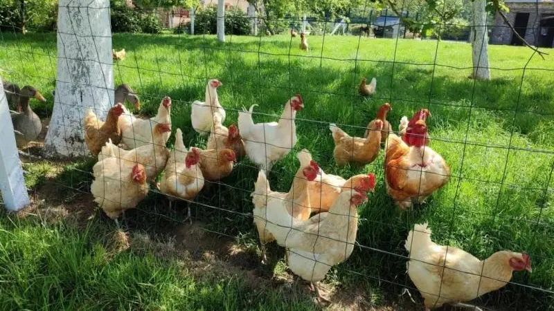 Gîtes de France® - L'Ancienne Etable