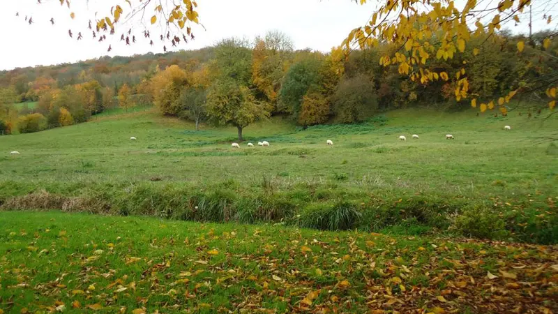 Gîtes de France® - Aux Charmes de la Varenne