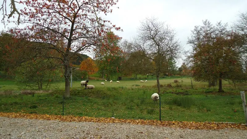 Gîtes de France® - Aux Charmes de la Varenne