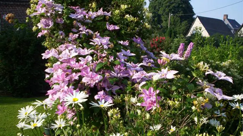 Gîtes de France® - Les Deux Chênes