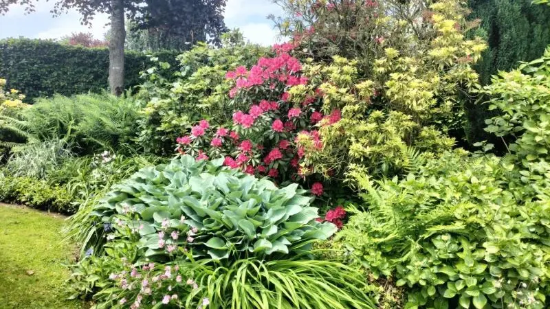 Gîtes de France® - Les Ramonts