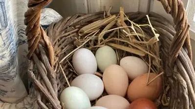 Gîtes de France® - L'Armandière