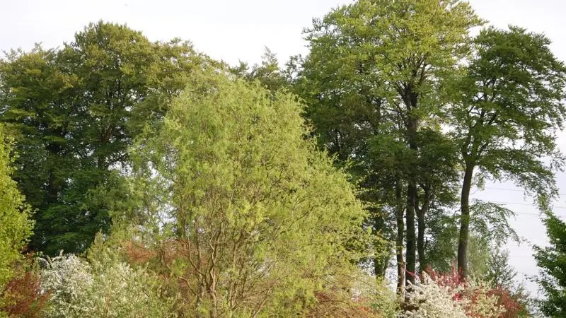 Gîtes de France® - Le Saint Hilaire