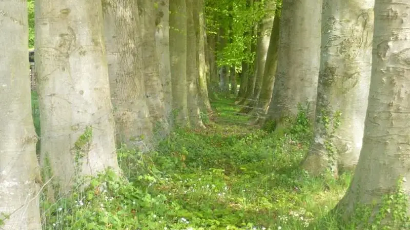 Gîtes de France® - La Couture