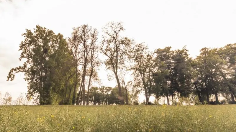 Gîtes de France® - Les Bleuets