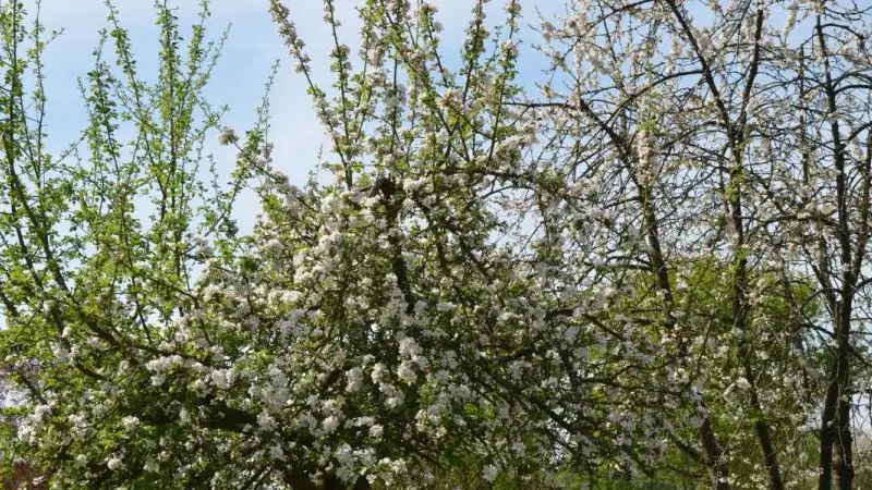 Gîtes de France® - Le Gîte d'Eawy