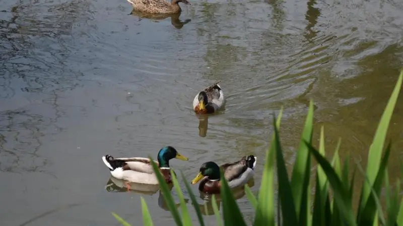Gîtes de France® - Le Gîte d'Eawy