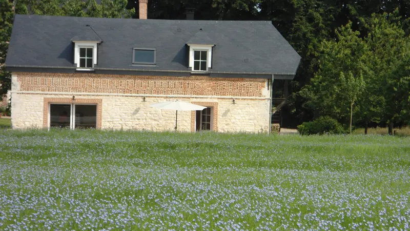 Fleurs de Caux