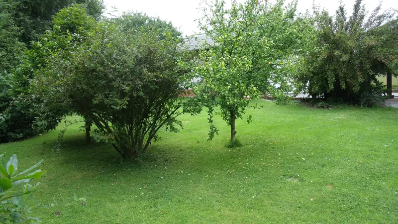 Le Rançon