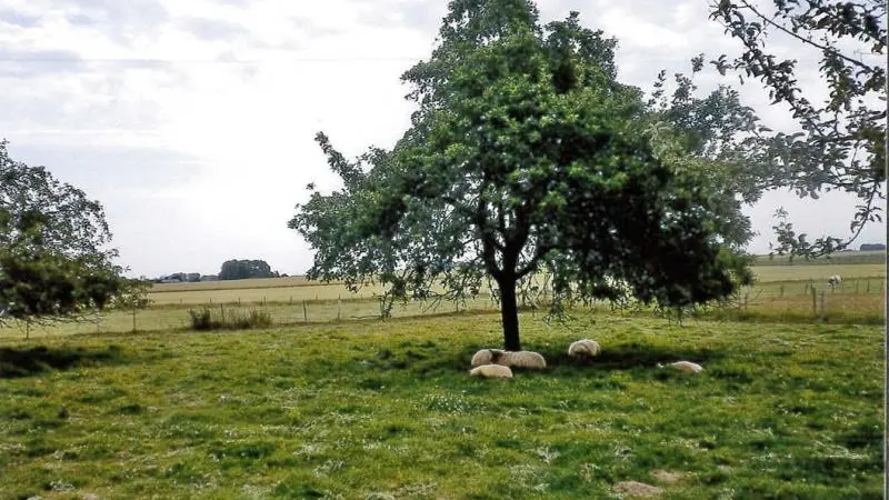 Gîtes de France® - La Désirée