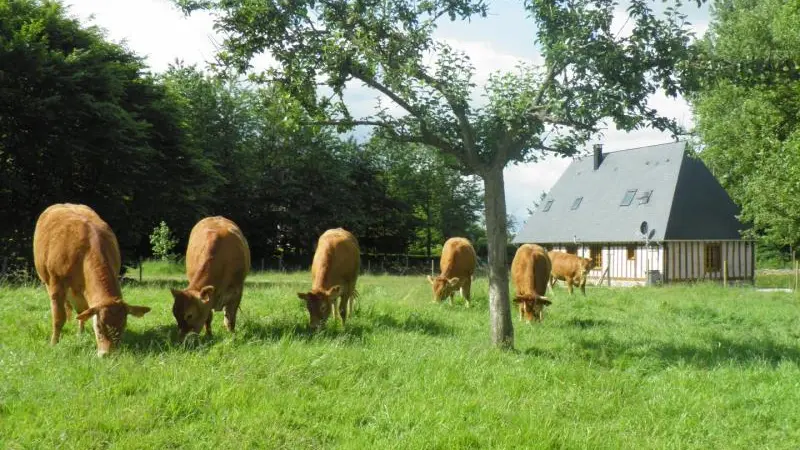 Gîtes de France® - Le Varvannes