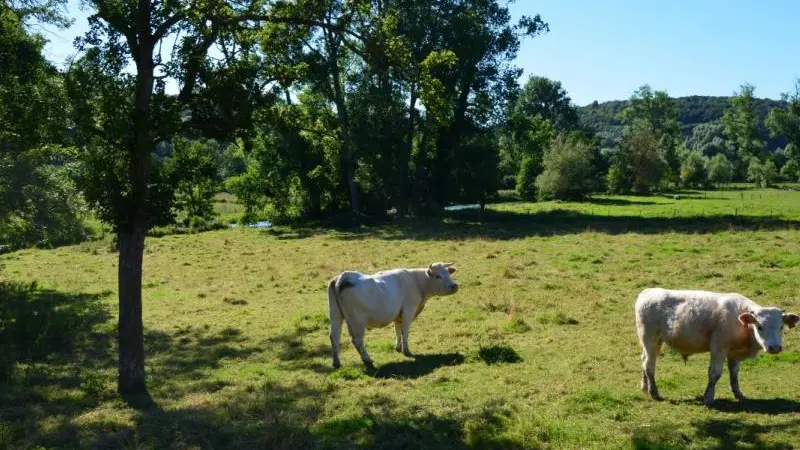 Gîtes de France® - Côté Rivière