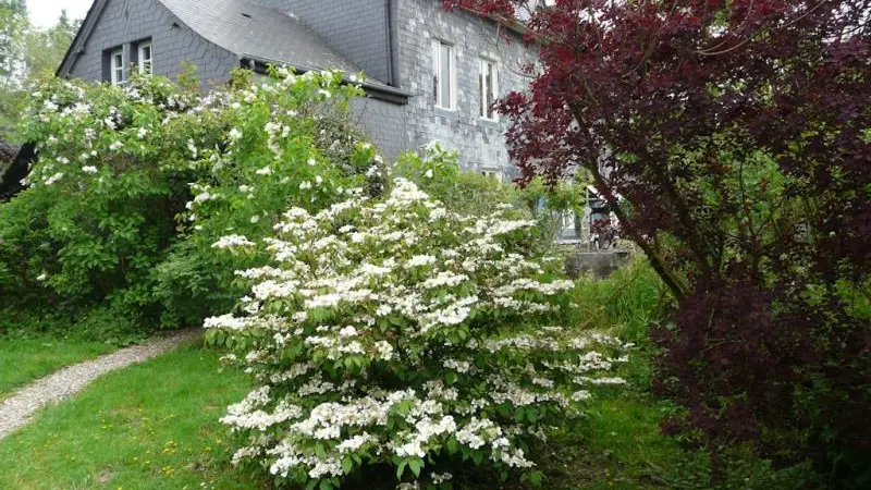 Le Neuf Bosc