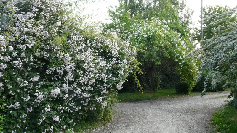Gîtes de France® - Le Neuf Bosc