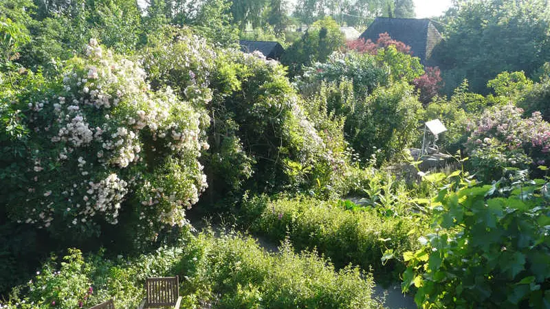 Le Neuf Bosc