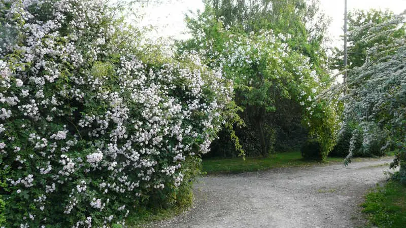 Gîtes de France® - Le Neuf Bosc