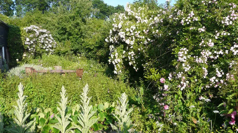Gîtes de France® - Le Neuf Bosc