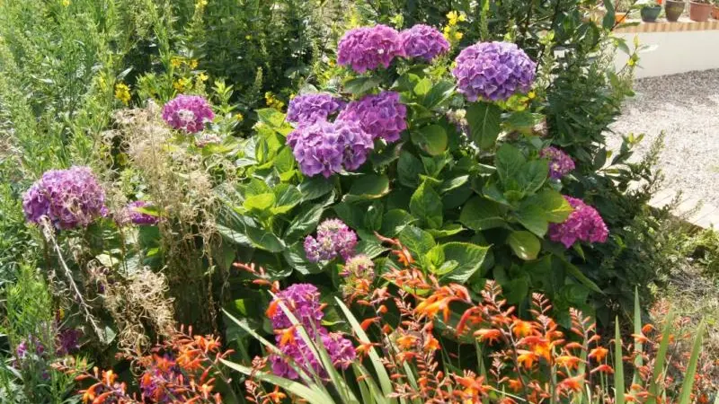 Gîtes de France® - La Hêtraie