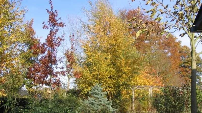 Le Clos Fleuri