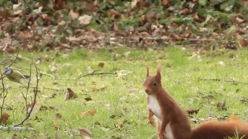 Gîtes de France® - Le Colombier Les Chambres d'Hôtes