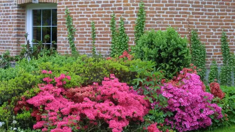 Gîtes de France® - Le Colombier Les Chambres d'Hôtes