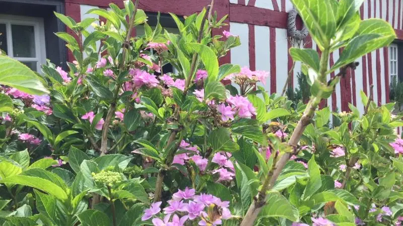 Gîtes de France® - Le Colombier Les Chambres d'Hôtes