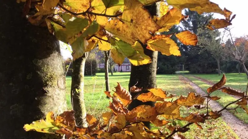Gîtes de France® - Le Colombier Les Chambres d'Hôtes
