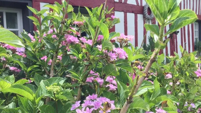 Gîtes de France® - Le Colombier Les Chambres d'Hôtes