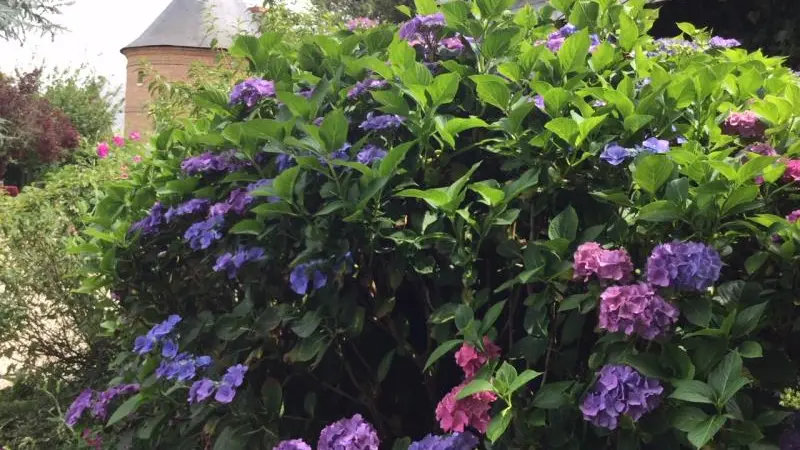 Gîtes de France® - Le Colombier Les Chambres d'Hôtes