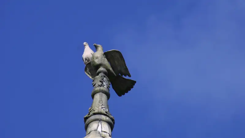 Gîtes de France® - Le Colombier Les Chambres d'Hôtes